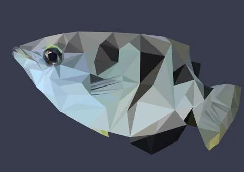 Abstract Low Poly Fish, Archer fish - Vector Illustration Stock Illustration