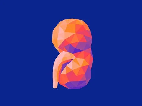 Abstract, low-poly kidney in warm hues against a cool background Stock Illustration