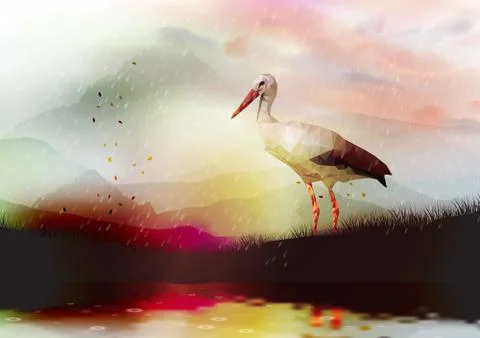 Abstract Low Poly White Stork near a Lake with Reflection - Vector Illustrati Stock Illustration