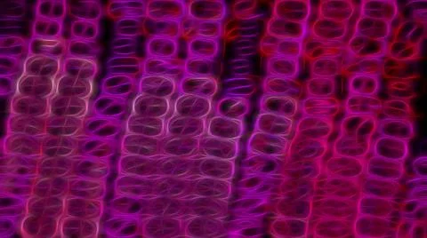 Abstract luminous linear gradient pink color Stock Illustration