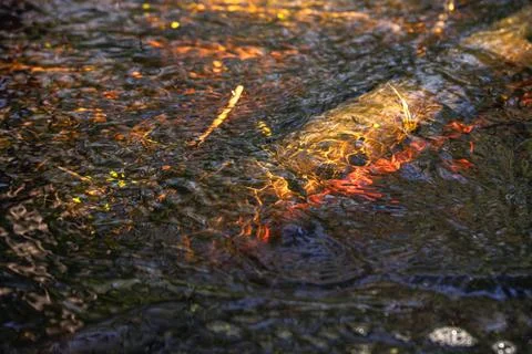 Abstract luminous multi-colored drawings under water thanks to rays, shadow.. Stock Photos
