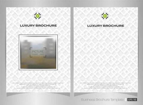 Abstract of luxury white square pattern brochure. Stock Illustration