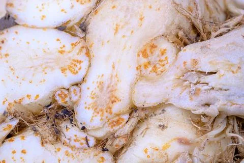 Abstract macro background of a celeriac Stock Photos