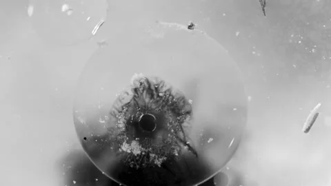 Abstract macro black ink and white liquid orb background texture Video stock 130983381