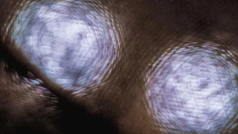 Abstract macro bokeh light through fabric texture, defocused circular light.. Foto stock