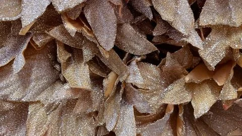 Abstract macro of bronze/gold glittery textile layers. Elegant metallic tex.. Stock Photos