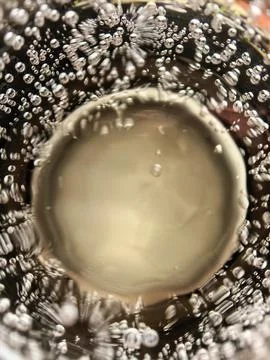 Abstract macro bubbles in carbonated beverage liquid Stock Photos