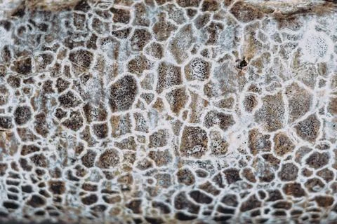 Abstract macro close-up background real nature beauty. Cosmic texture of stone Stock Photos