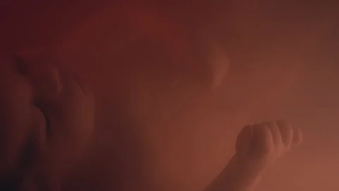 Abstract Macro Close up of Unborn Baby's Face and Hands Floating in Uterus Vidéo 211880661