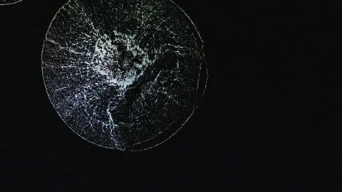 Abstract macro fluid art with shimmering metallic swirls and biological organic Видео 331619157