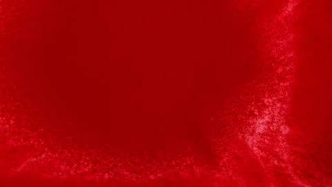Abstract macro fluid art with shimmering swirling motion and diverse organic Stock-Footage 331701010