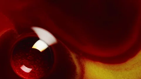 Abstract macro fluid art with shimmering swirling motion and diverse organic Stock Footage 331701595
