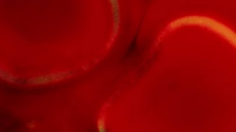 Abstract macro fluid art with shimmering swirling motion and diverse organic Stock Footage 331702761