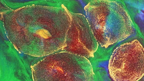 Abstract macro fluid art with vibrant organic motion and liquid textures Stock Footage 331585565