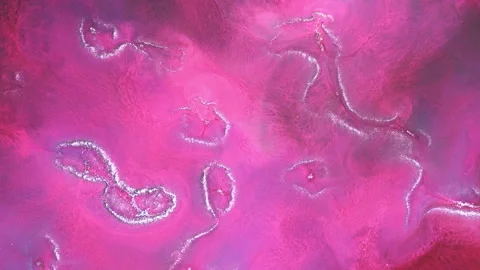 Abstract macro fluid art with vibrant organic motion and liquid textures Stock-Footage 331590549