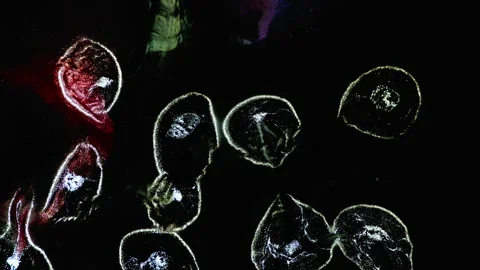 Abstract macro fluid art with vibrant organic motion and shimmering textures Stock Footage 331610664