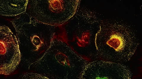 Abstract macro fluid art with vibrant organic motion and shimmering textures Stock Footage 331612855