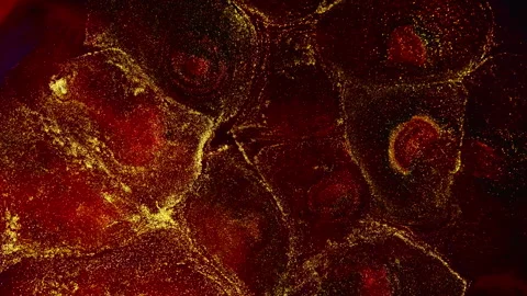 Abstract macro fluid art with vibrant organic motion and shimmering textures Stock Footage 331617238