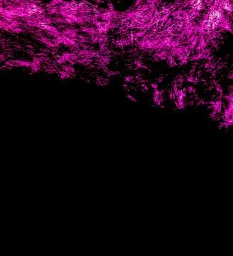 Abstract macro microscopic view of complex pink filamentous structures and biolo Stock Photos
