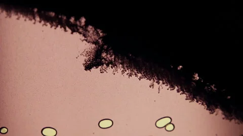 Abstract Macro Particles Background Stock Footage 105318513