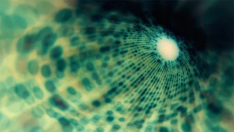 Abstract Macro Photography of a Green Shell with Light Reflecting from Inside Stock Footage 289118512