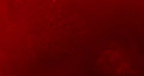 Abstract Macro Red Cell Particles Floating in Red Space Symbolizing Virus Stock Footage 342194531