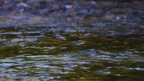 Abstract Macro River Ripples, Slow Motion Stock Footage 342179635