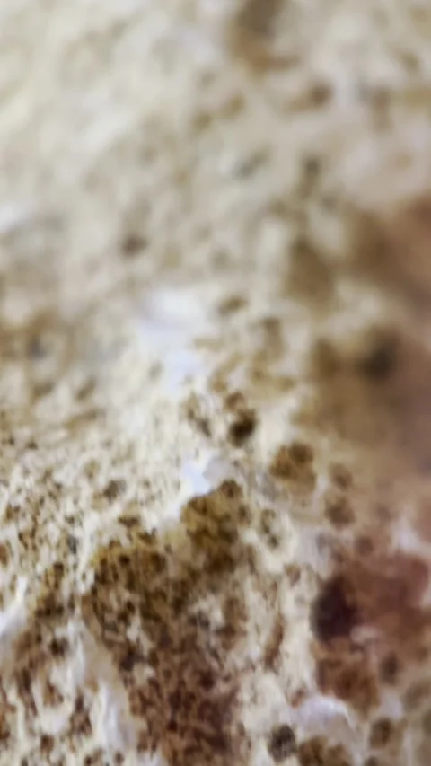 Abstract Macro Rock Texture in Earthy White and Brown Tones Video stock 332777858