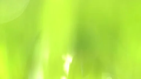 Abstract macro shot of blades of green grass. Dew drops shine with splendor Stock-Footage 143602782