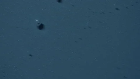 Abstract Macro Shot of Clear Liquid with Tiny Bubble Floating Stock Footage 147850716