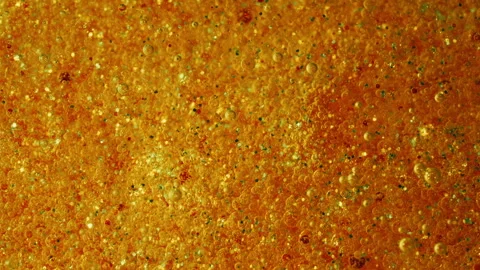 Abstract macro shot of glowing orange and gold liquid drops and oil bubbles Vídeos de archivo 346328329