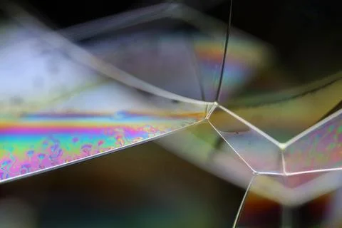Abstract Macro Shot of Iridescent Bubble Panes and Angular Cellular Joints Stock Photos