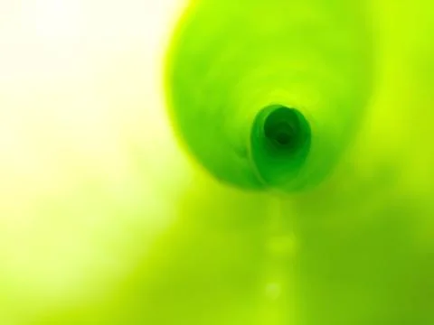 Abstract macro shot looking down center of curled green banana leaf showing.. Stock Photos