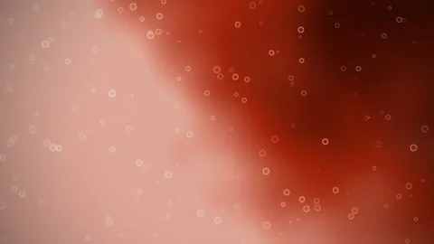 Abstract macro shot of tiny air bubbles rising through a rich red liquid Stock Footage 346292472