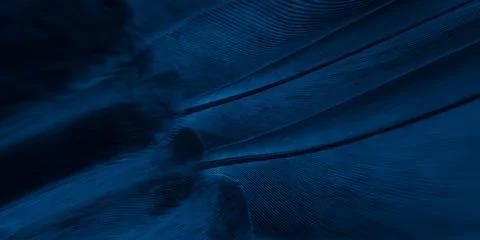Abstract macro texture of dark blue bird feathers with elegant lines Иллюстрация