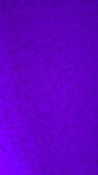 Abstract macro texture of organic patterns illuminated by vibrant purple ultr Stock Photos