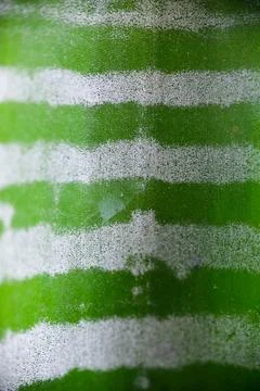 Abstract macro texture of variegated tropical leaf stripes Stock Photos