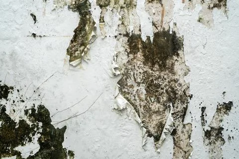 Abstract macro texture of a weathered white wall with layers of peeling paint Stock Photos