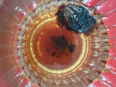 Abstract Macro View of Dark Object in Amber Liquid Glass Texture Fotos Stock