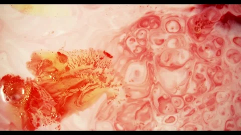 Abstract macro view of red and yellow liquid mixing Stock Footage 329816221