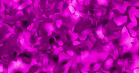Abstract Magenta Fluid Background Stock Footage 328010729