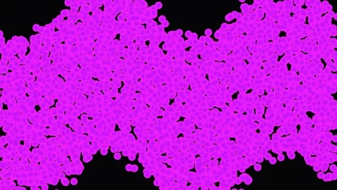 Abstract magenta wave pattern with grainy texture moving across black backg.. Stock Footage 341719627