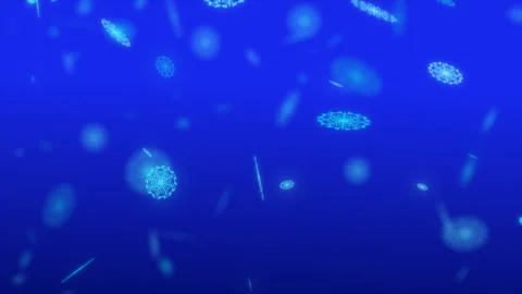 Abstract magic background, amazing view of New Year snow with bokeh effect. Stock Footage 255314739