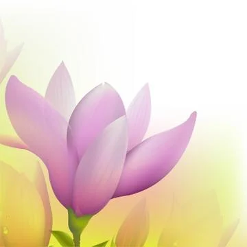Abstract magnolia Stock Illustration