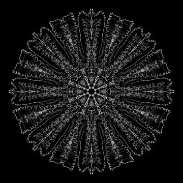 Abstract mandala. Digital design with funky lines Stock Illustration