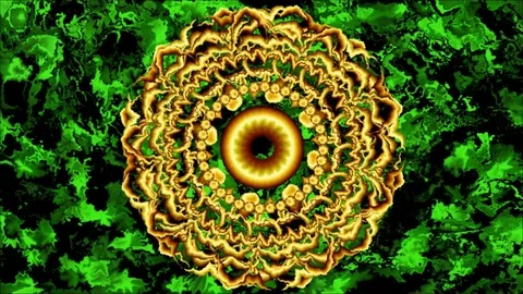 Abstract  mandala  FM05 스톡 동영상 81039330