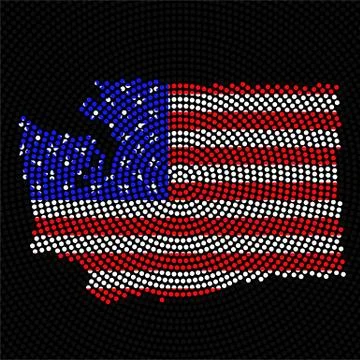 Abstract map Washington of radial dots with flag USA inside Stock Illustration
