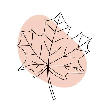 Abstract Maple Leaf Line Art Design Stock Illustration
