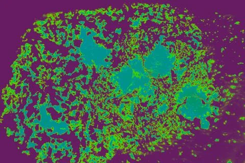 Abstract marble floral pattern texture. Traditional art of Ebru marbling Stock-Fotos