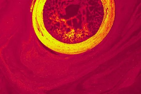 Abstract marble pattern with circle. Traditional art of Ebru marbling Stock Illustration